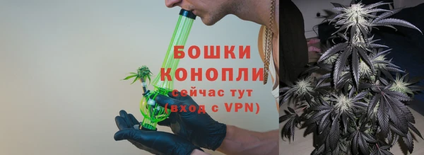 ГАЛЛЮЦИНОГЕННЫЕ ГРИБЫ Арсеньев