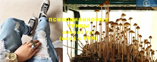 герыч Аркадак