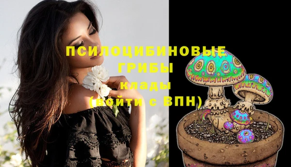 ГАЛЛЮЦИНОГЕННЫЕ ГРИБЫ Арсеньев