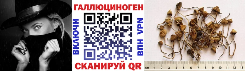 Псилоцибиновые грибы ЛСД  shop клад  Харовск  купить закладку 